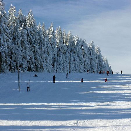 Penzion U Studeneho Potoka Nove Hute Kültér fotó