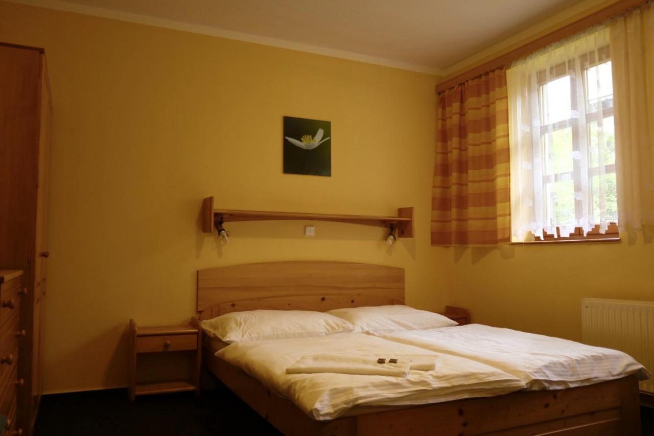 Penzion U Studeneho Potoka Nove Hute Kültér fotó